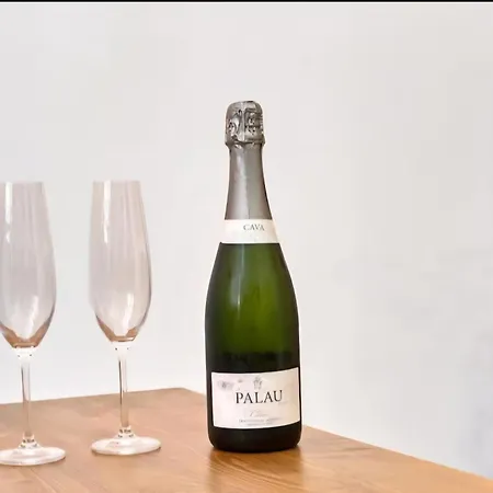 Urban Loft Apartment